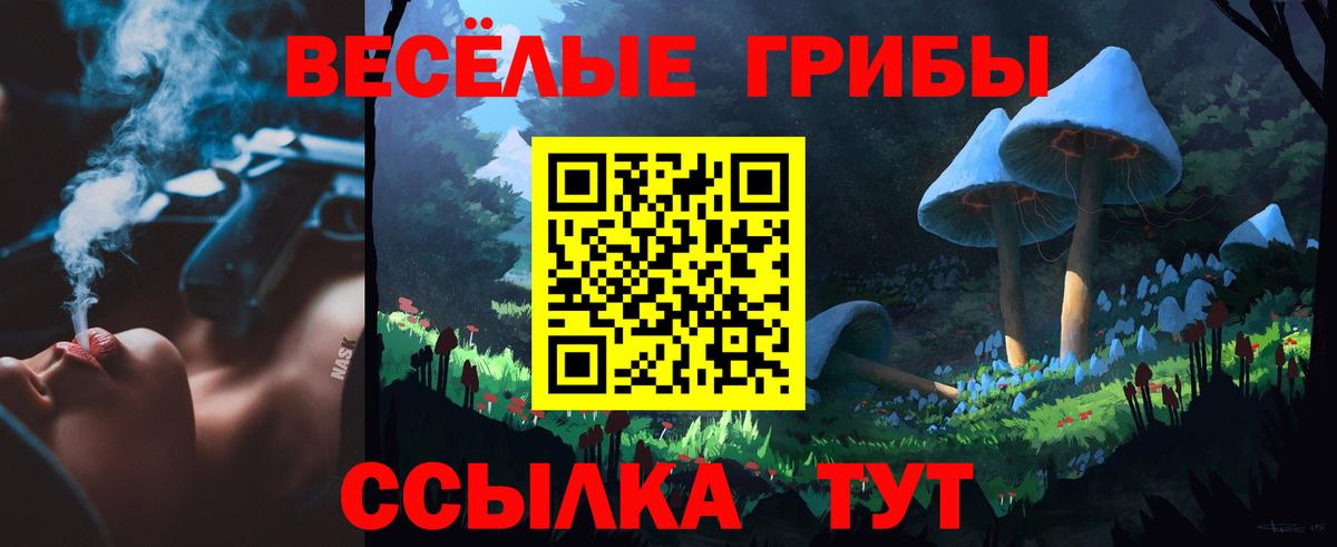 Россошь  Галлюциногенные грибы мицелий  Вход с VPN  Галлюциногенные грибы прущие грибы 